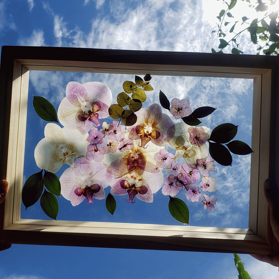 Foto de Buquê preservado em quadro